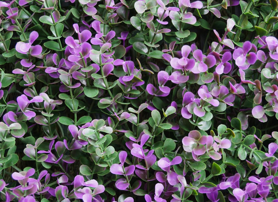 Pasto sintético para jardines y terrazas